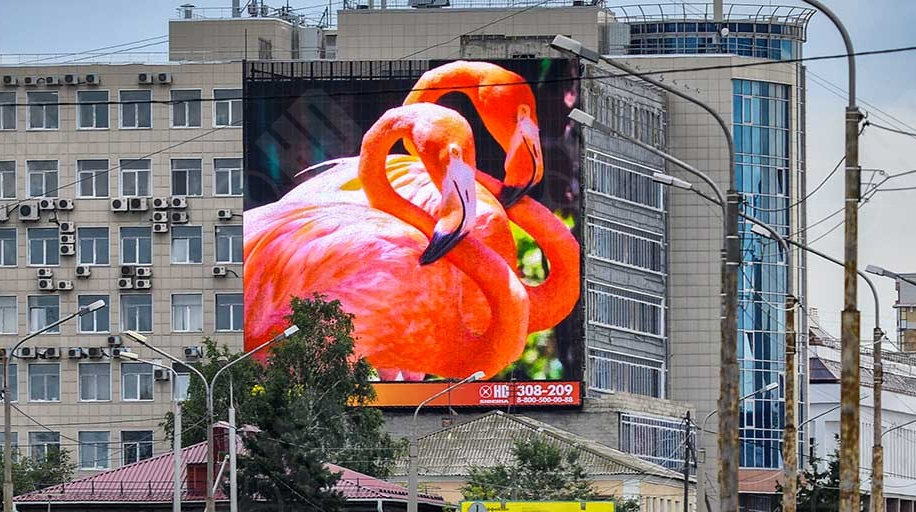 outdoor screen