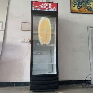 Transparent LED Film Screen – Crystal Clear Flexible LED Display for Mall Refrigerator Doors
