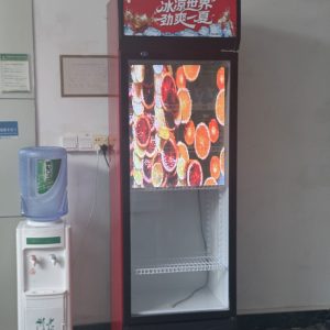 Transparent LED Film Screen – Crystal Clear Flexible LED Display for Mall Refrigerator Doors