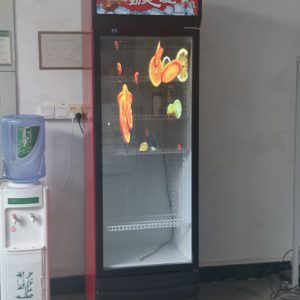 Transparent LED Film Screen – Crystal Clear Flexible LED Display for Mall Refrigerator Doors