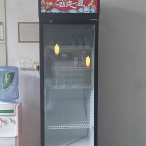 Transparent LED Film Screen – Crystal Clear Flexible LED Display for Mall Refrigerator Doors