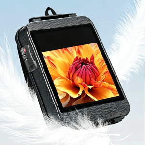 Portable Waterproof LED Backpack Advertising Screen with Display